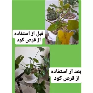 قرص کود ارگانیک - 120عددی