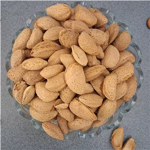 بادام درختی ایرانی ربیع با پوست، 500 کیلویی