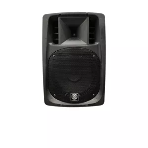 اکو همراه 12 اینچ بدون میکروفون 026 زیکو ZICO مدل 12600FPBUR