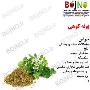 پونه کوهی 200گرمی