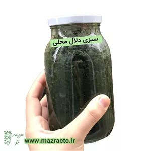 سبزی دلال محلی مازندران مخصوص ماهی و مرغ شکم پر