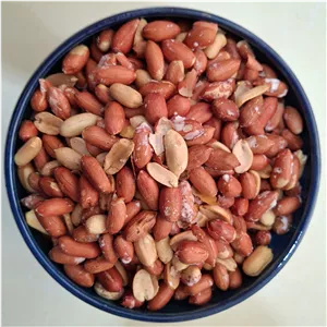 بادام زمینی آستانه اشرفیه درشت و درجه یک محصول 1404 زرین خوشه طبرستان - 1000 و 2000 گرم