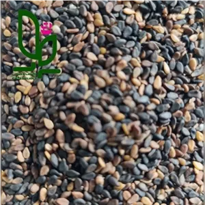 کنجد مشکی 500 گرمی درجه یک  آنی رز