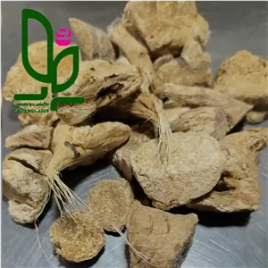 ریشه آنغوزه یک کیلوگرمی اقتصادی آنی رز