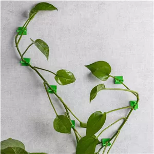 گیره مدل پتوس بسته 8 عددی