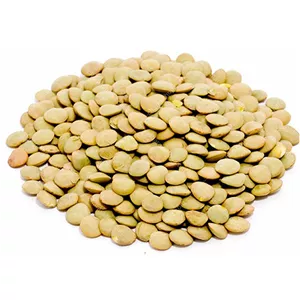 عدس درجه یک (نیم کیلویی)، پاک شده و به شرط پخت 
