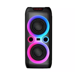 اسپیکر بزرگ رویال Royal Sound D30