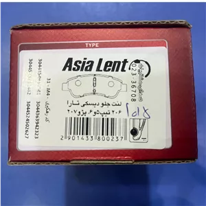 لنت جلو دیسکی تارا، 206 تیپ 5 و 6 و 207 آسیا لنت