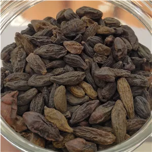 هلیله سیاه اعلاء