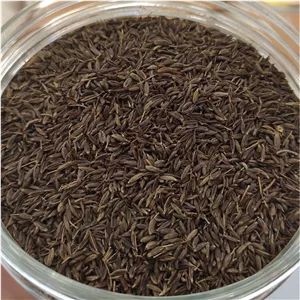 زیره سیاه اعلاء