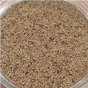 دانه کینوا اعلاء