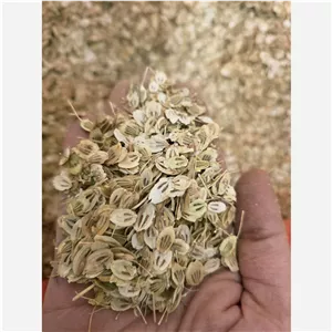 گلپر درجه یک نرم