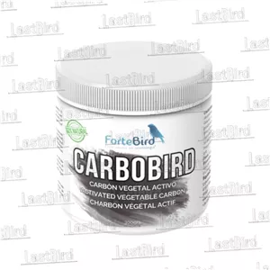 Q زغال اکتیو CARBOBIRD فورت برد اسپانیا A