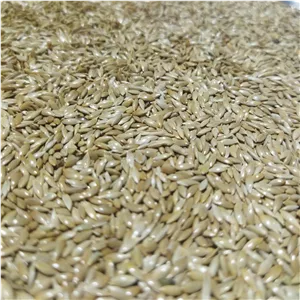تخم کتان برای پرندگان ( بسته یک کیلویی )