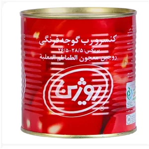 رب گوجه فرنگی اسان باز شو روژین 800 گرم