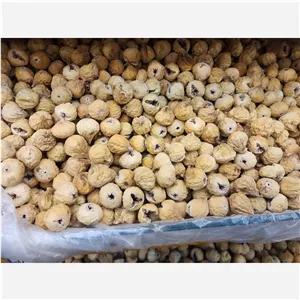 انجیر غنچه متوسط استهبان 