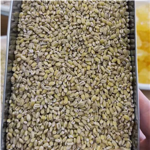 جو بدون پوست(سوپی) اعلاء