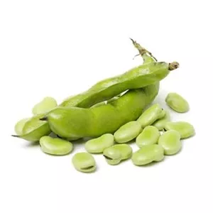 بذر باقالی (بسته 20 عددی) کد 236
