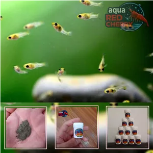 غذای بچه ماهی آکوا ردچری (فرمول اختصاصی) 5 گرمی