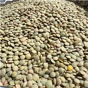 عدس زودپز اردبیل وزن 500 گرم