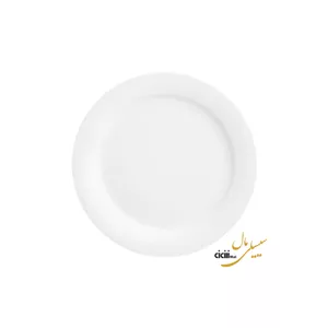 دیس گرد هتلی چینی زرین ایران