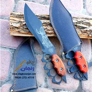 شکاری پنجه دار همراه با غلاف با کیفیتارسال با دکاپست