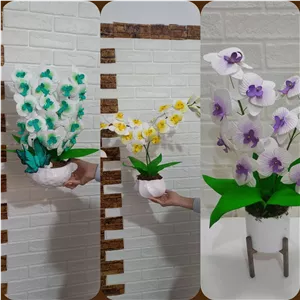 گلدون ارکیده 