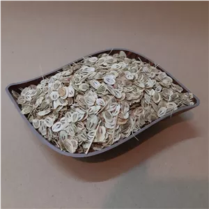 گلپر ناساب-75 گرمی 