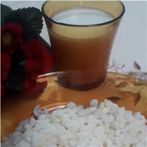 قارچ کفیر قفقازی فعال ( 70 گرمی ) به همراه آموزش رایگان محصولات کفیر 