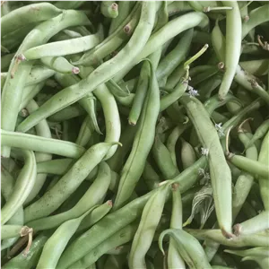 لوبیا سبز 10کیلو یی