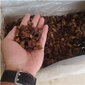 کشمش آفتابی مخصوص آبگیری