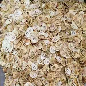 گلپر درشت 1 کیلو