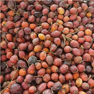 میوه نسترن 500 گرم 