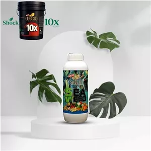 کود جلبک دریایی مایع شوک اصل 1 لیتری(پس کرایه).