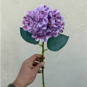 شاخه هورتانسیا 2 برگ( پک 12تایی )