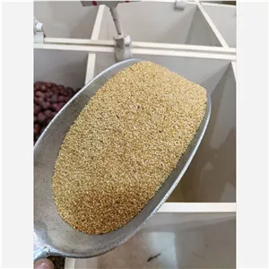 کنجد طلایی اعلا500گرمی کاملاً تمیز (کنجد طلایی)