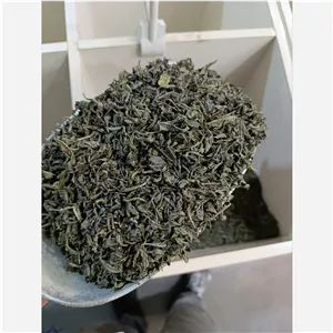چای سبز اصیل لاهیجان - از دل طبیعت 250گرم 