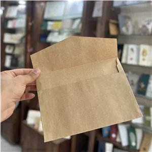 پاکت کرافت مثلثی 120g