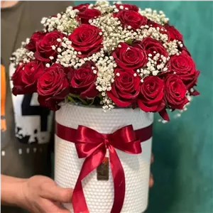 باکس گل رز قرمز و ژیپسوفیلا مدل سوپرایزی (گلفروشی تربت حیدریه آلپینا)