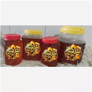 عسل طبیعی وارگانیک کوههای زاگرس