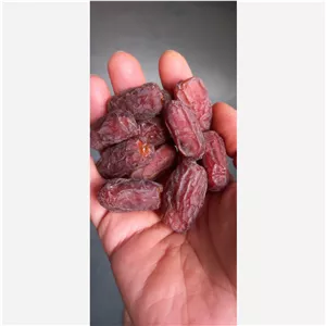 خرما خشک ( آدامس ی)