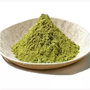 سدر سبز