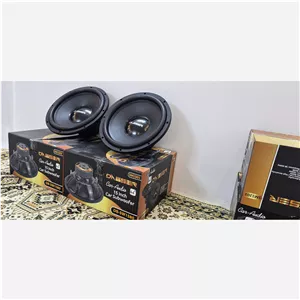 ساب دهنه 15 اینچ دابسر غول SM1503 DNESER 15 Inch Car Subwoofer SM1503 Canr-Audic DB-SW1580 عمده وجزعی (پس کرایه) 