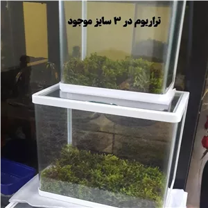 تراریوم شیشه خم شرکتی (3 سایز مختلف) + هدیه