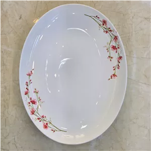 دیس بیضی آرکوپال بهار صورتی