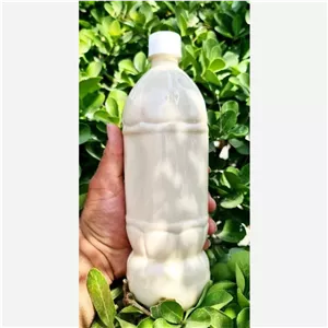 کشک مایع گوسفندی