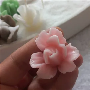 شمع غنچه گل شقایق..(مالوا)