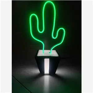 گلدون کاکتوس نئونی