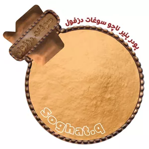 پودر پنیر ناچو مکزیکی( 100گرم)سوغات دزفول