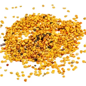 گرده گل بهار500گرم
